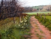Daffodils Along the Path