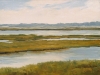 Marsh on the Solent
